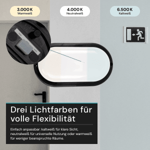 LUXULA Feuchtraumleuchte IP65 CCT 3000K-6500K Warm- Kaltweiß Ovalleuchte 12W Kellerlampe 1080lm Garagenleuchte Außenleuchte Schwarz