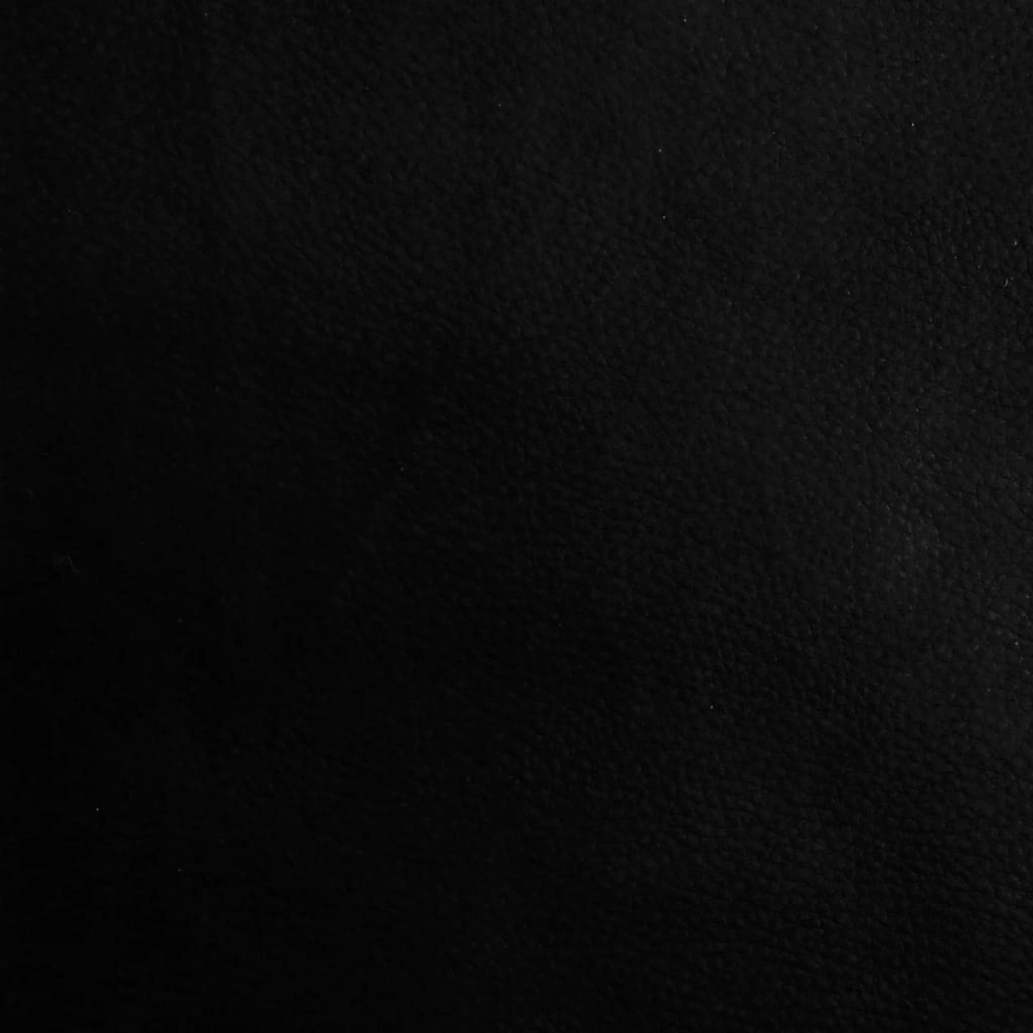 Detailaufnahme des schwarzen Kunstleder-Kissens der vidaXL Sitzbank mit Stauraum.