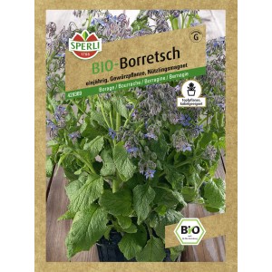 Sperli Bio Borretsch Samen, einjährige Gewürzpflanze mit blauen Blüten, ideal für Kübel und Hochbeet.