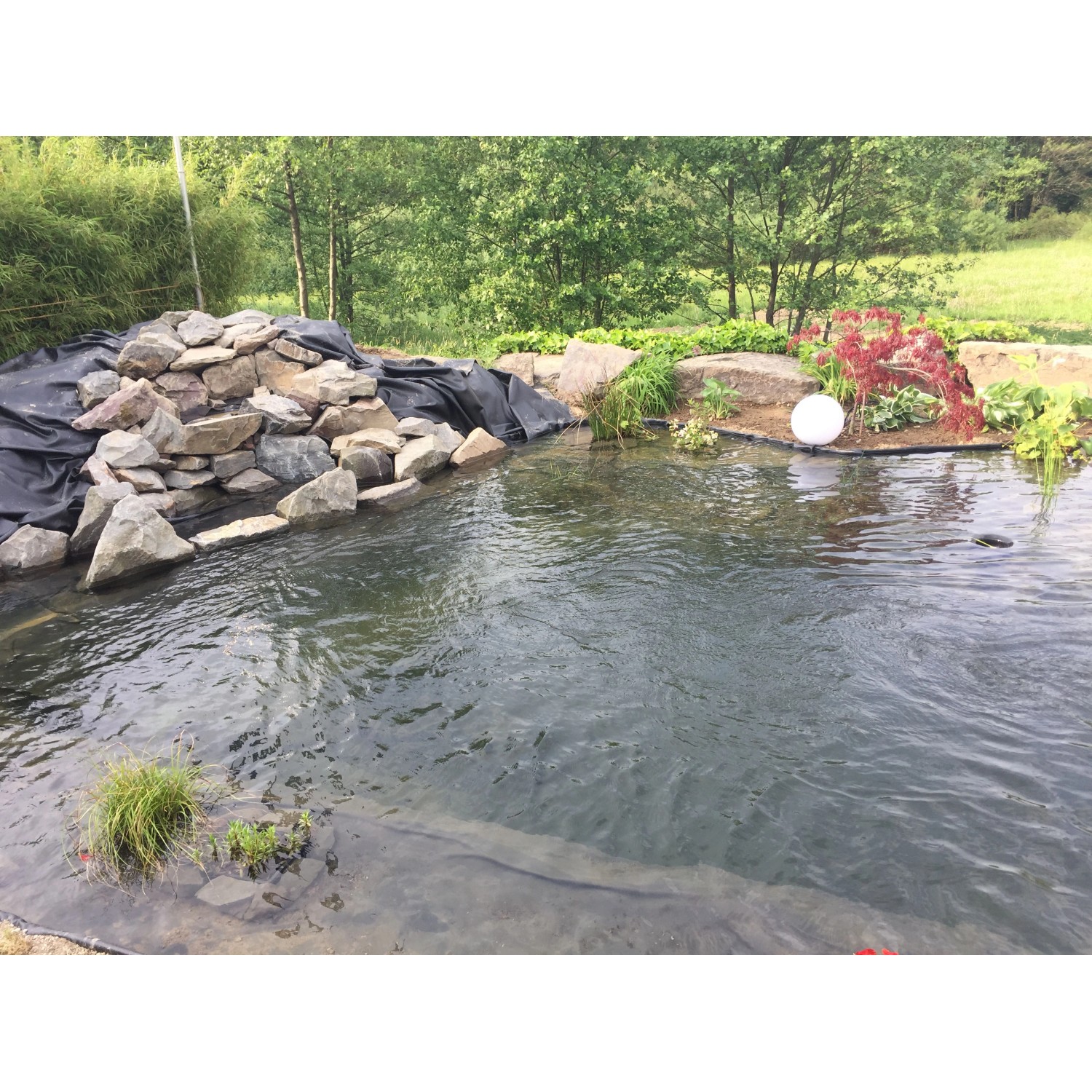 Gartenteich mit schwarzer Aquagart PVC Teichfolie, Steinen und Bepflanzung.