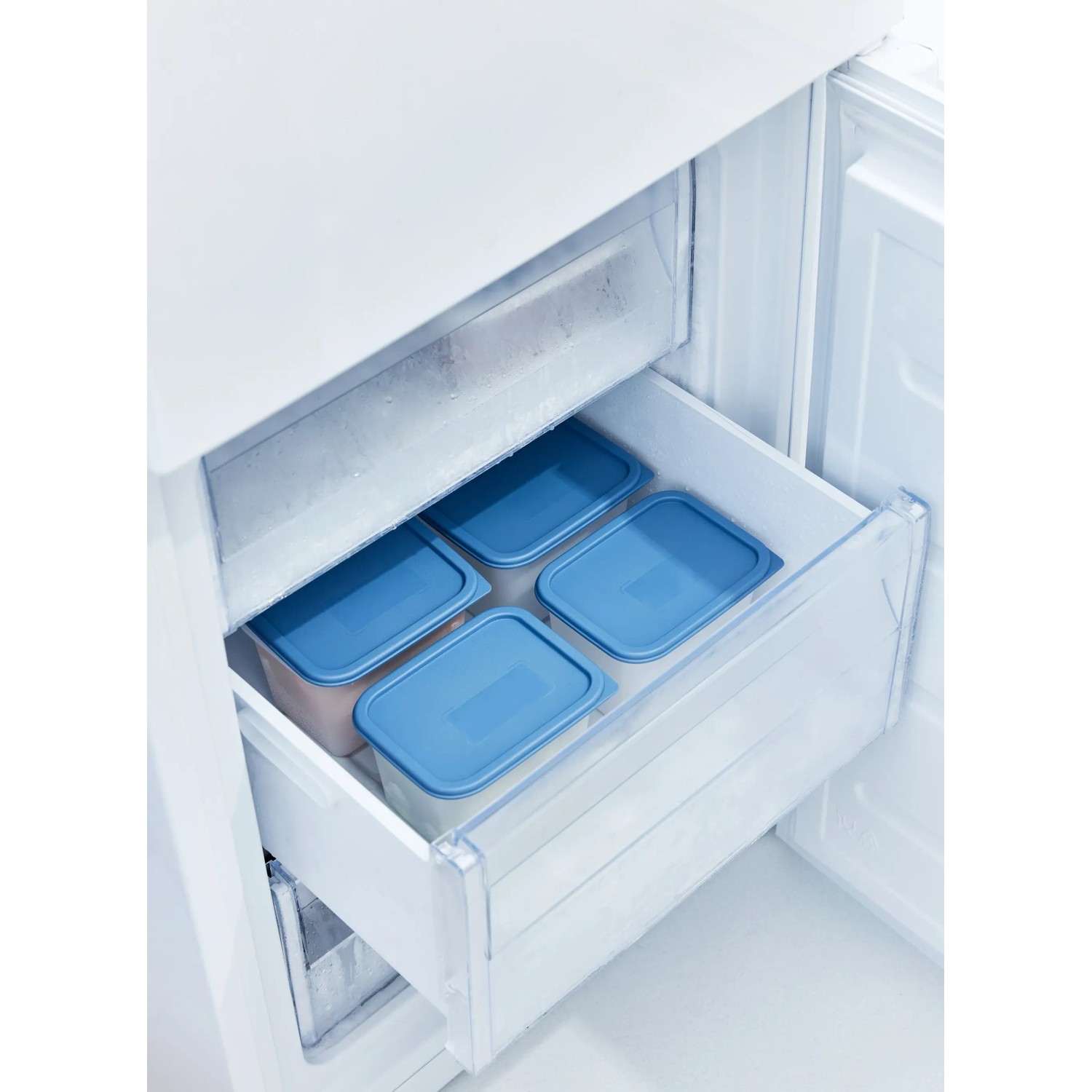 Rotho Gefrierdosen-Set Domino, 4 blaue Vorratsdosen im Gefrierschrank.