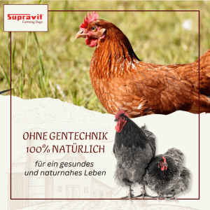 Supravit Legemehl für Hühner