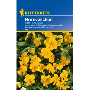 Kiepenkerl Hornveilchen Gelb (Viola cornuta) im Detail.