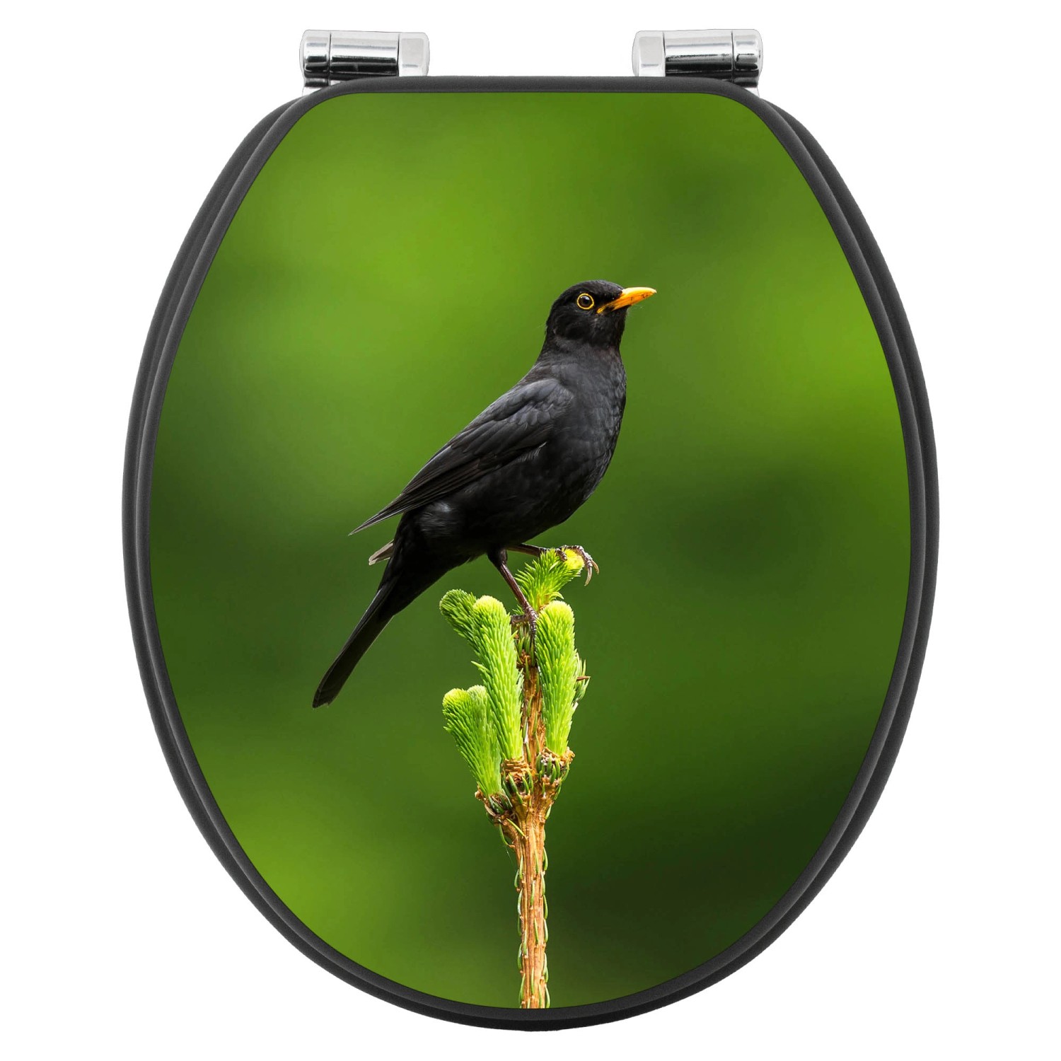 Anthrazit WC-Sitz mit Absenkautomatik, Vogel auf Tannenzweig Motiv.
