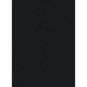 Schwarze HDF Rückwandplatte (280x207x0,3cm) für Möbelbau und Innenausbau.