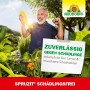 Mann freut sich über Ernte, geschützt durch Neudorff Spruzit Schädlingsfrei. Mittel gegen Blattläuse.