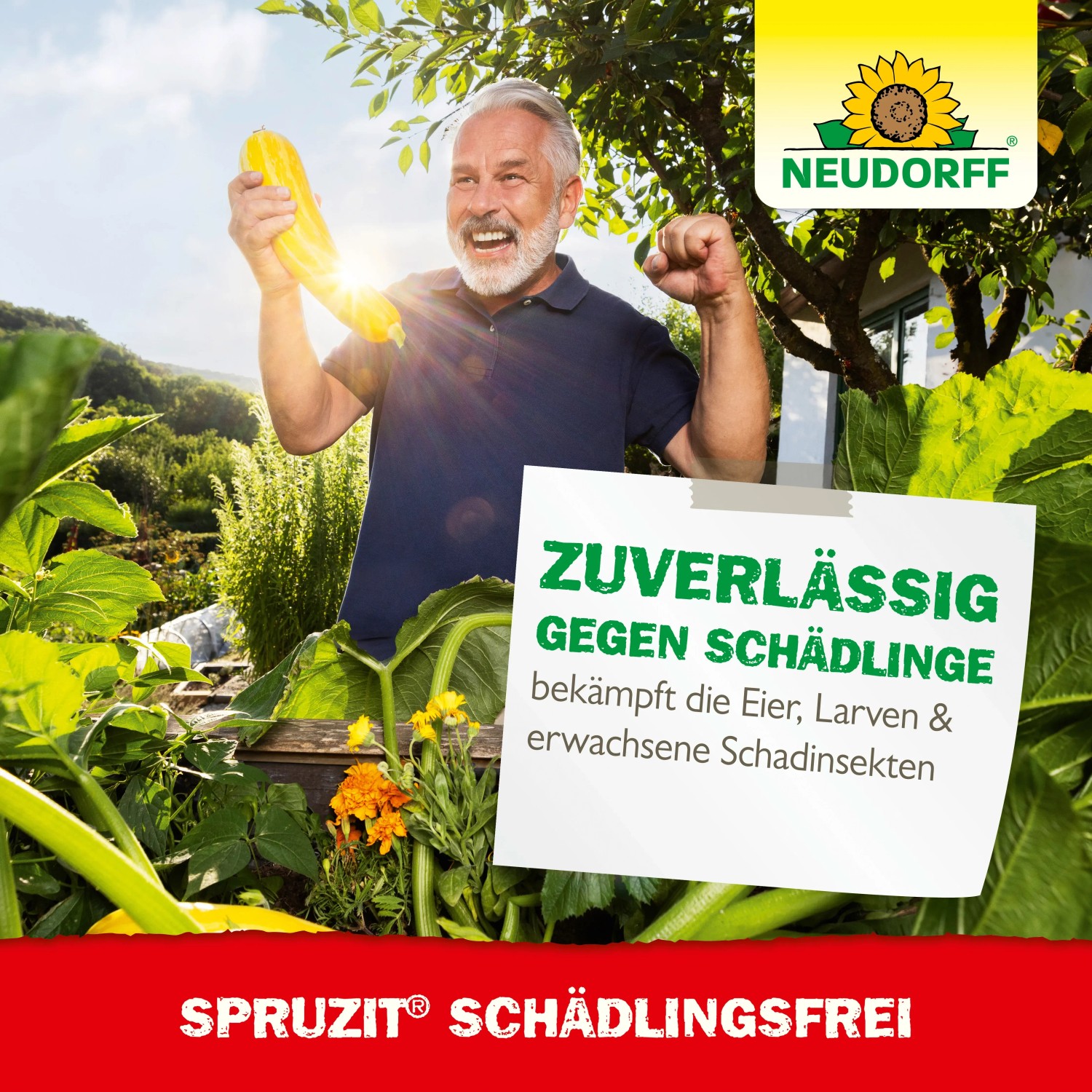Mann freut sich über Ernte, geschützt durch Neudorff Spruzit Schädlingsfrei. Mittel gegen Blattläuse.