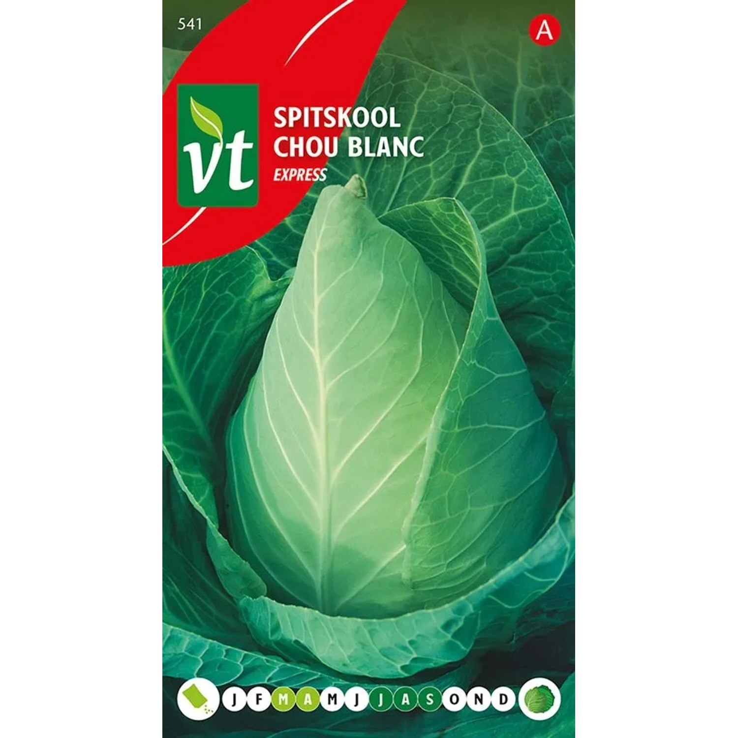 Rosenkohl 'Express' Samen Ca. 2 g Schnellwachsend