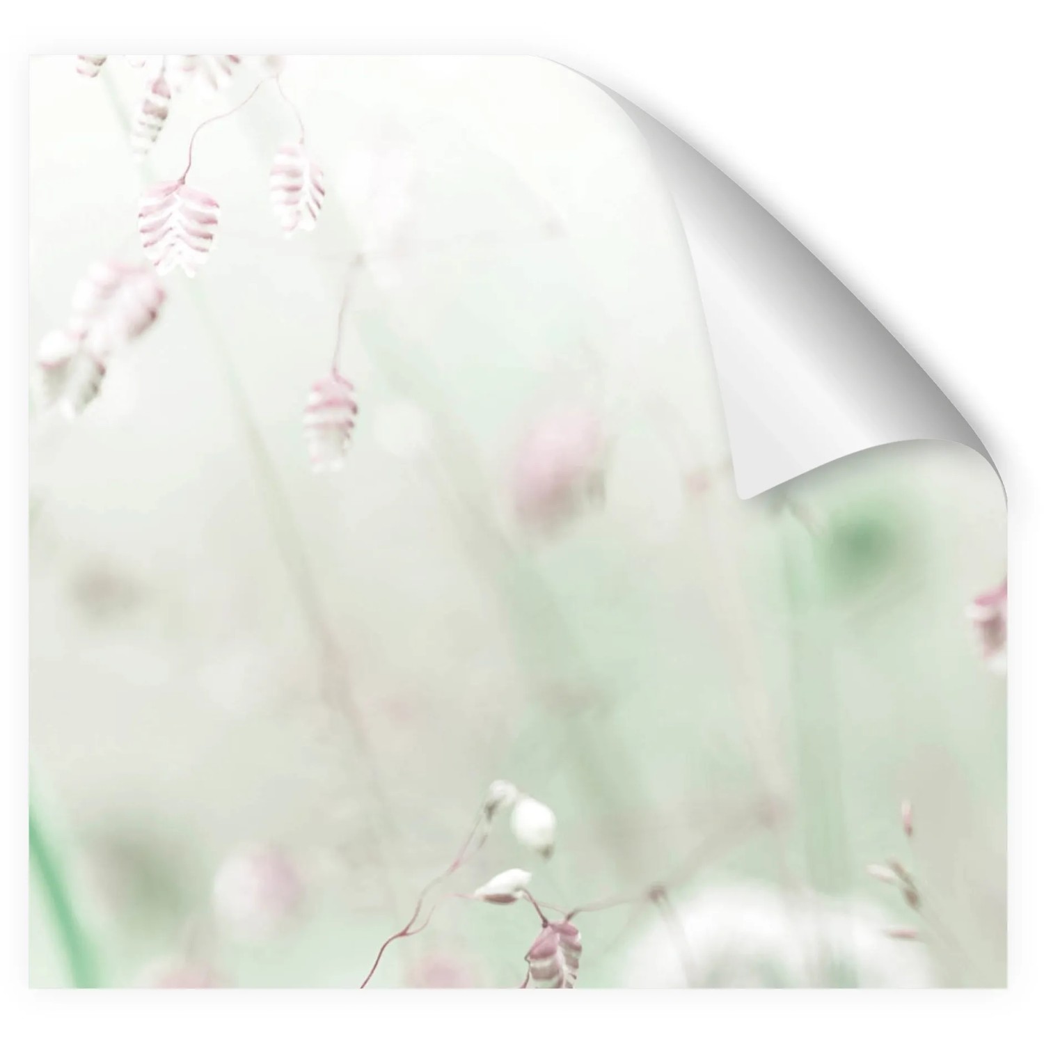 Küchenrückwandfolie mit Wildblumenmuster, selbstklebend, 220x60 cm.
