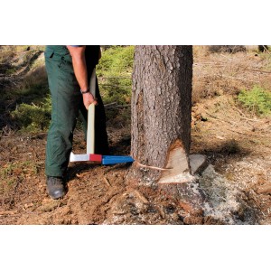 Anwendung des LUX Fällkeils am Baumstamm. Der Keil ist blau und rot.
