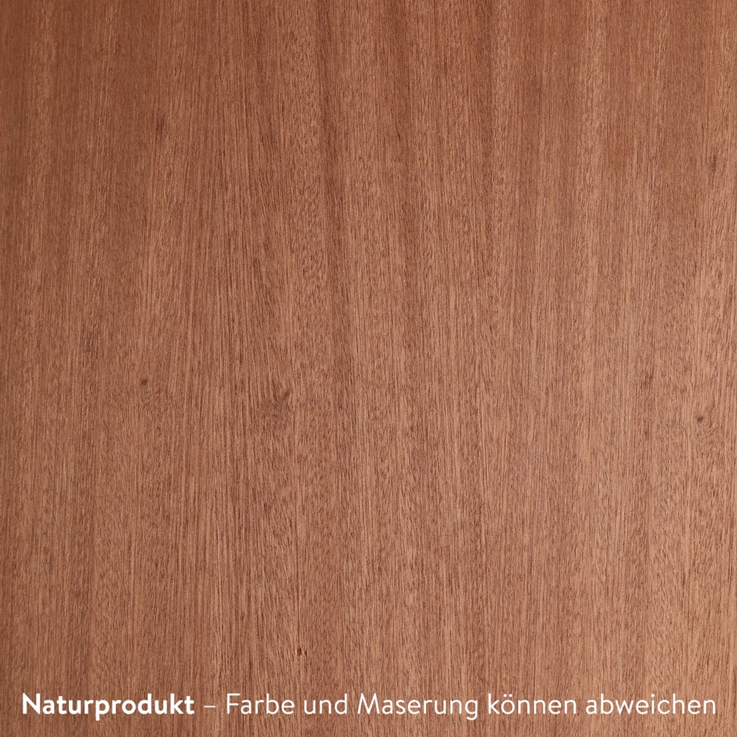 Holz-Wanddeko Dino T-Rex in Mahagoni-Optik, Detailansicht der Holzmaserung.