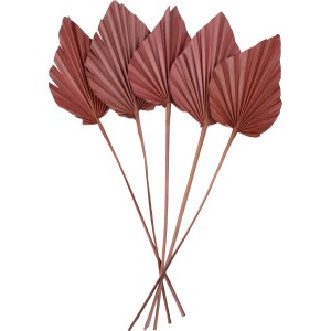 5 getrocknete Palmenblätter (Ancient Secrets) in Terrakotta, ca. 12x45 cm, Deko-Arrangement.