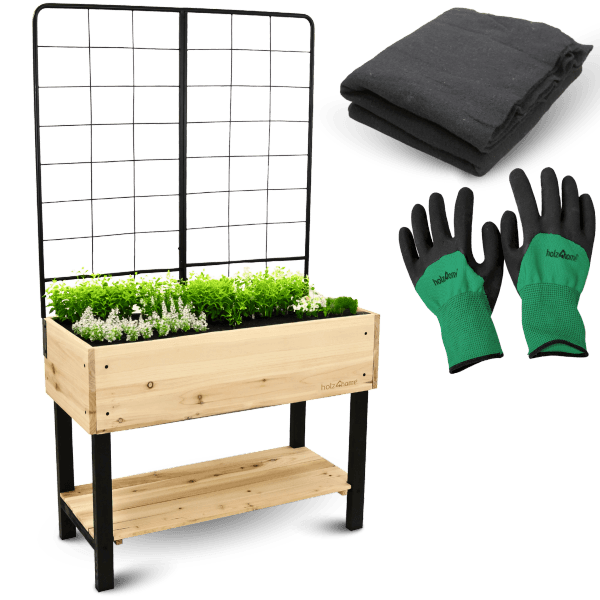 Blumenkasten mit Rankgitter kaufen bei OBI