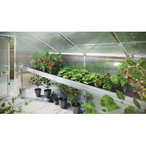 KGT Pflanzwanne Rose IV aus Alu, blank, im Gewächshaus mit Pflanzen befüllt.