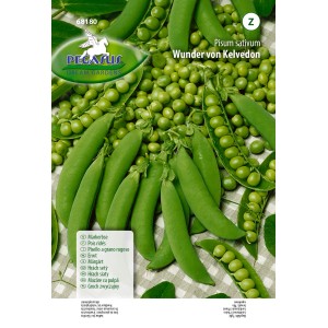 Markerbsen Wunder von Kelvedon Samen, grüne Erbsenschoten und Erbsen auf der Packung.
