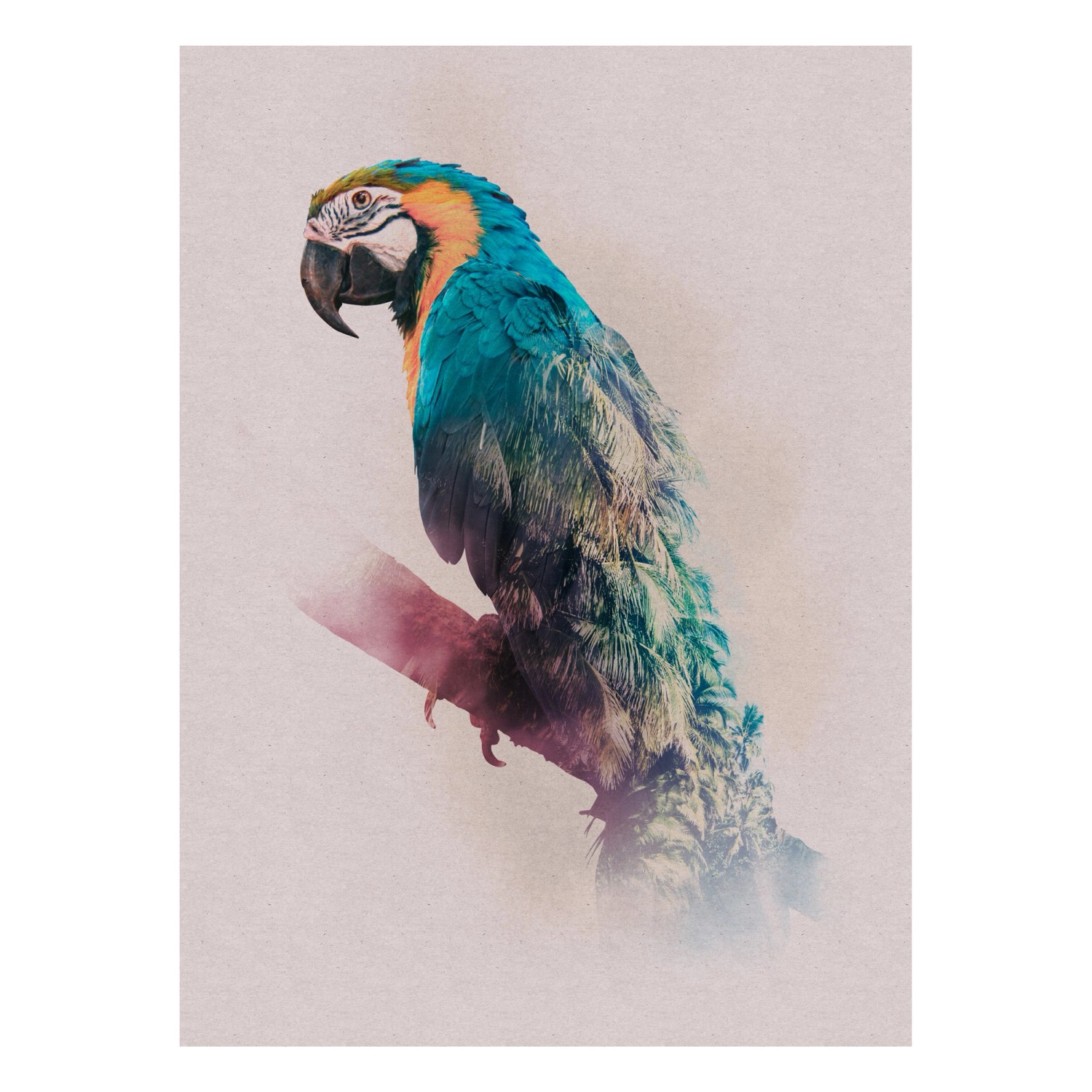 Komar Wandbild Animals Paradise Parrot 30 cm x 40 cm