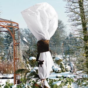 Eingepackte Pflanze mit Videx Garden Winterschutz Vlies, weiß, 150x500cm, im winterlichen Garten.