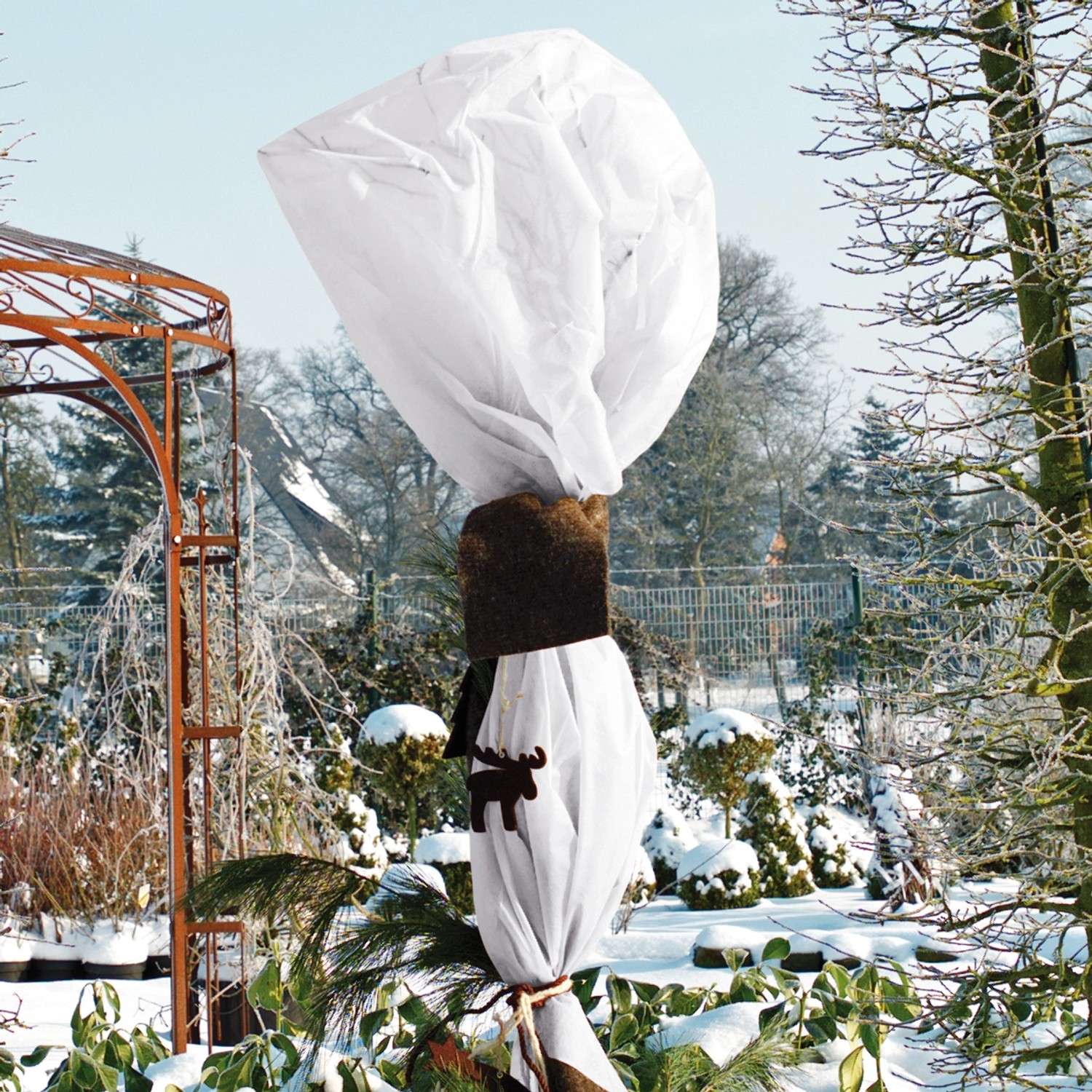 Eingepackte Pflanze mit Videx Garden Winterschutz Vlies, weiß, 150x500cm, im winterlichen Garten.