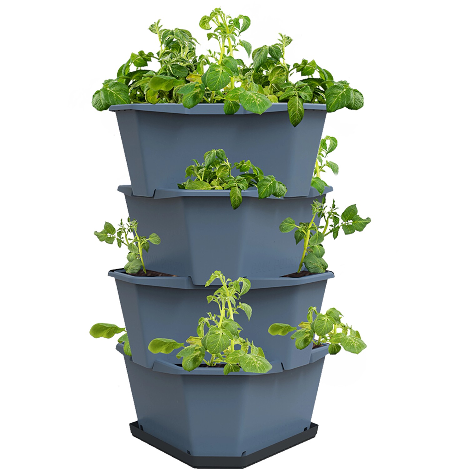 Gusta Graden Anzuchtsgefäß Paul Potato 56 L blau