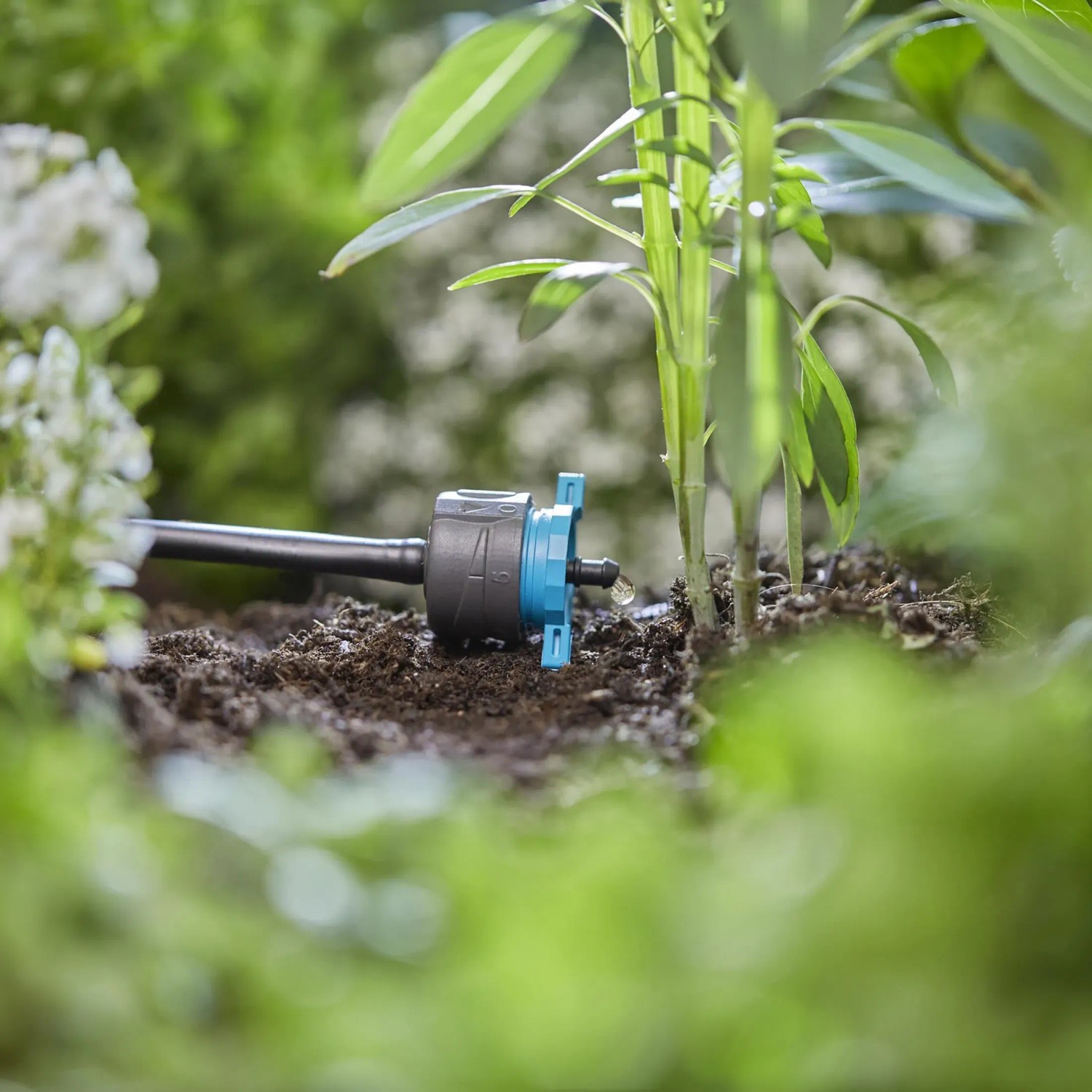 Gardena Endtropfer im Micro-Drip-System bewässert Pflanze. Regulierbar von 1-8 l/h.