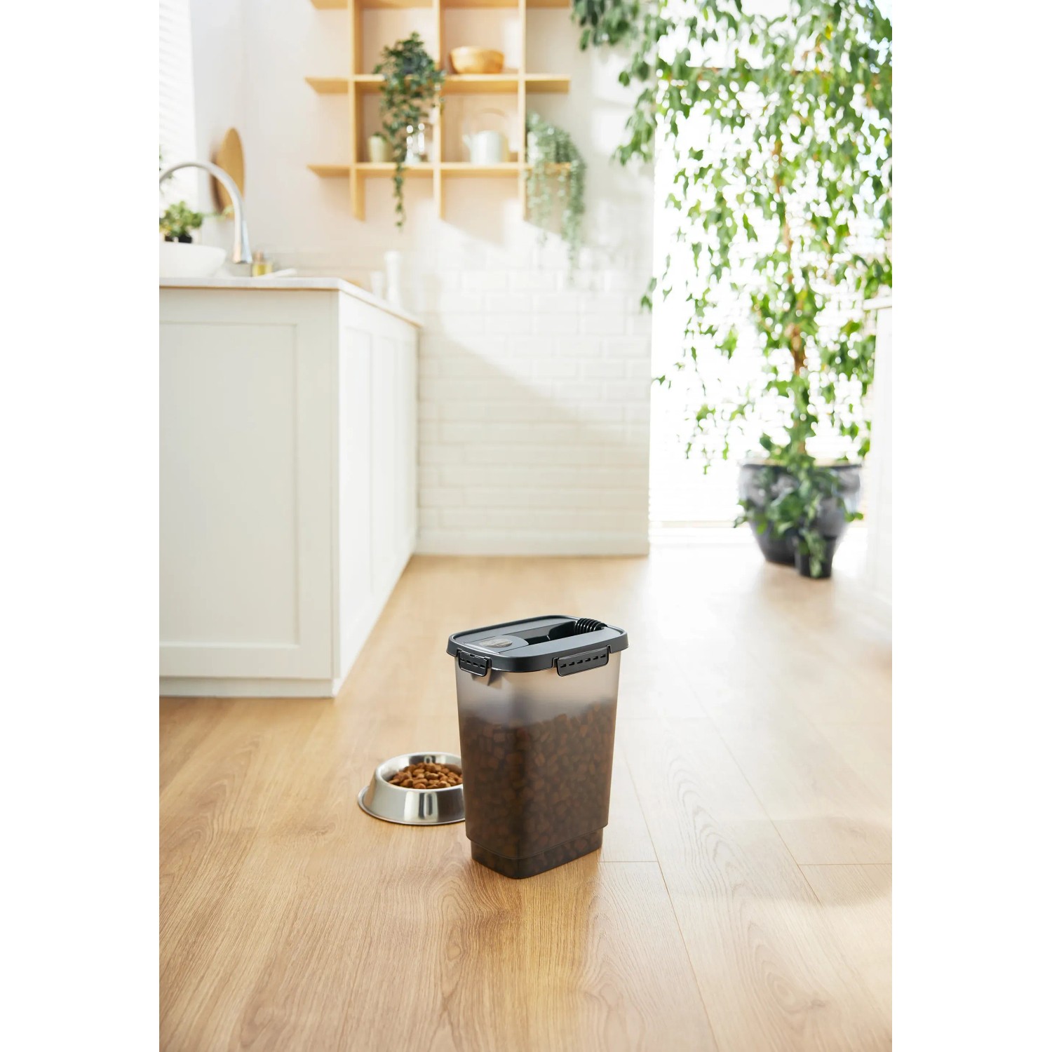 Rotho Tierfutterbehälter Cody 10, Transparent/Grau