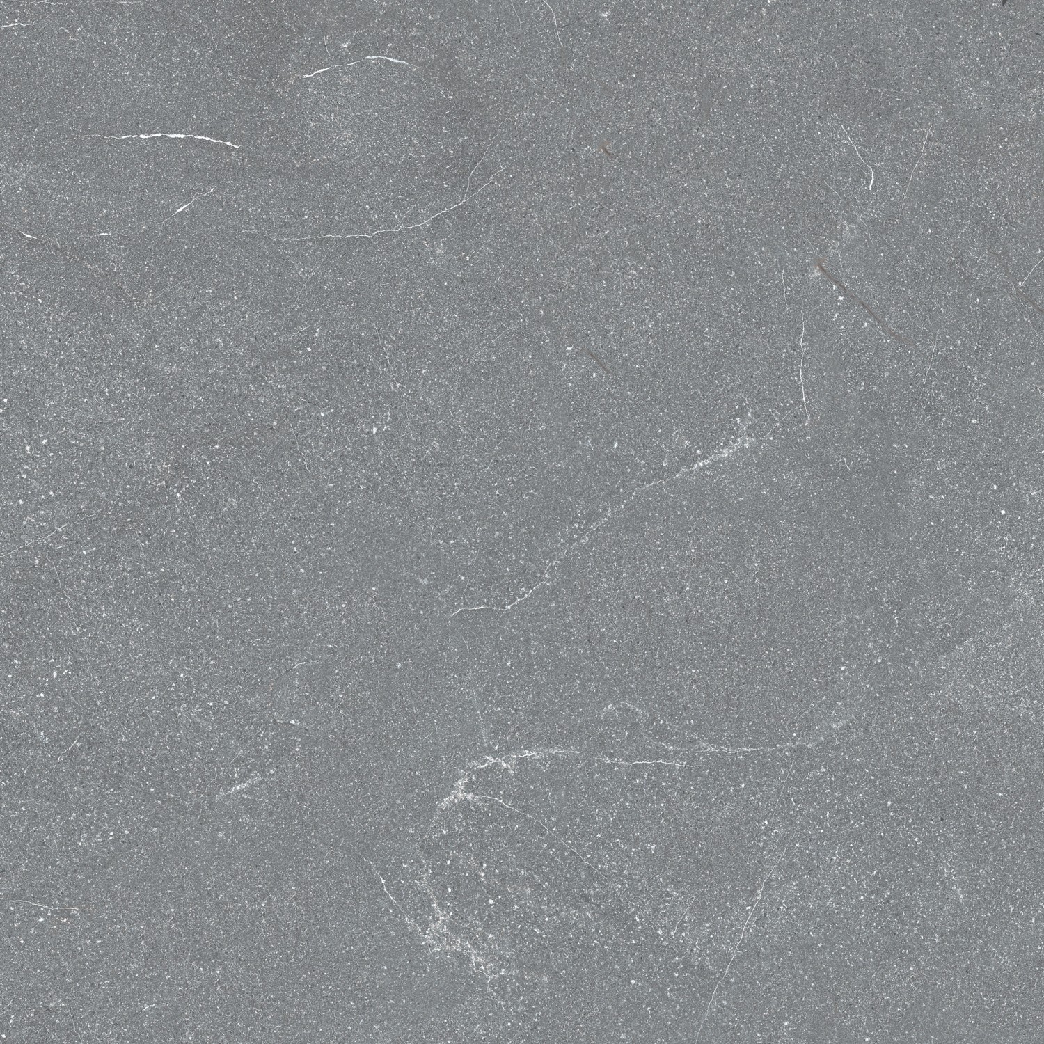 Feinsteinzeug Bodenfliese in Anthrazit, matte Stein-Optik, 60x60 cm.