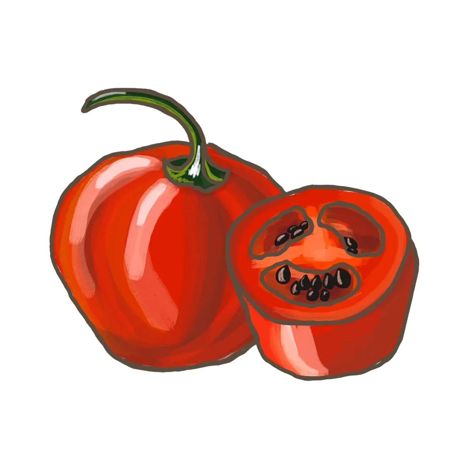 Roter Baum-Chili, angeschnitten, Topf-Ø ca. 12 cm. Scharfe Küchenkräuter für exotische Gerichte.