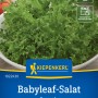 Kiepenkerl Schnittsalat Greenaly: Frischer, grüner Salat mit gekräuselten Blättern im Topf.