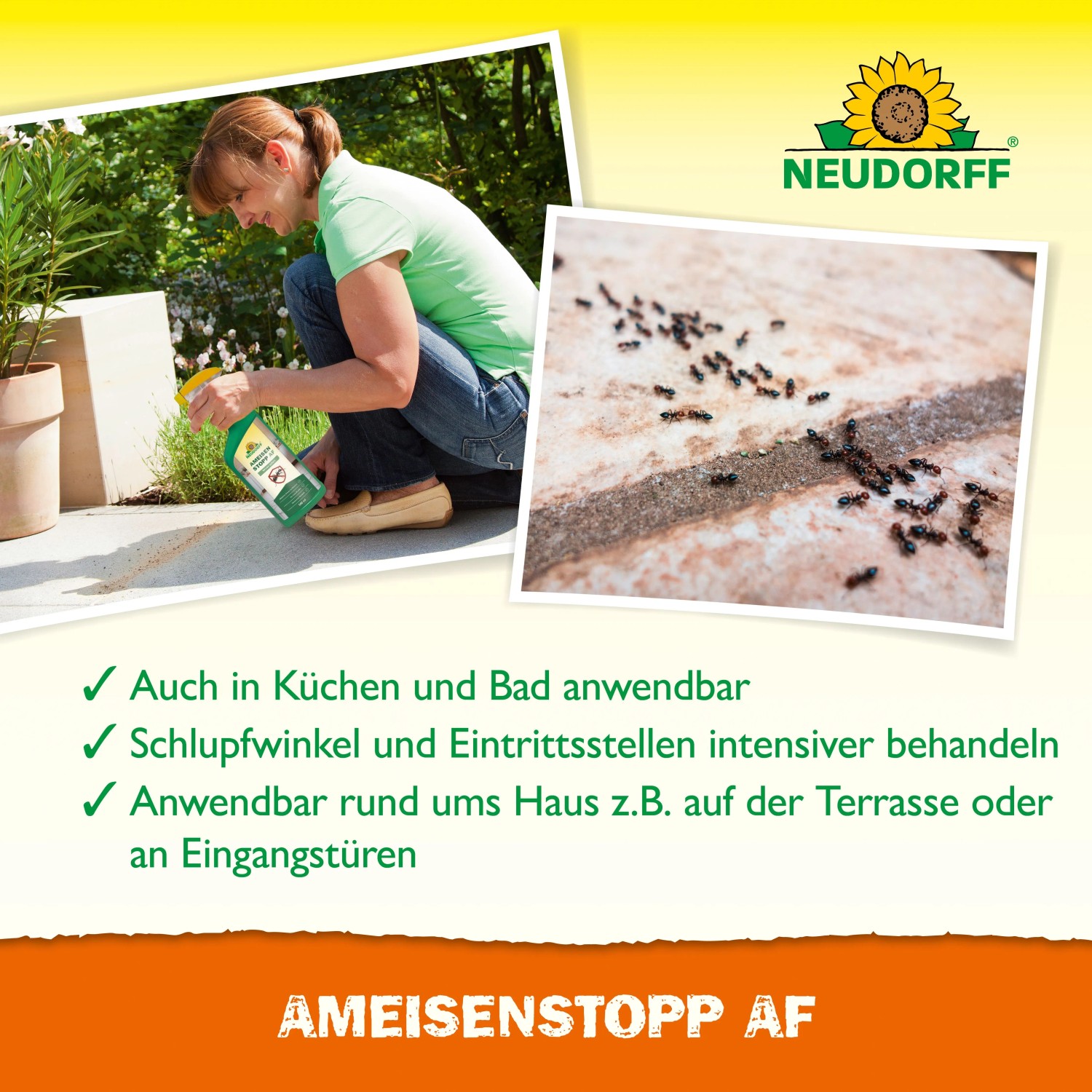 Neudorff Ameisen-Stopp AF: Frau sprüht Ameisenmittel, Detailaufnahme von toten Ameisen.