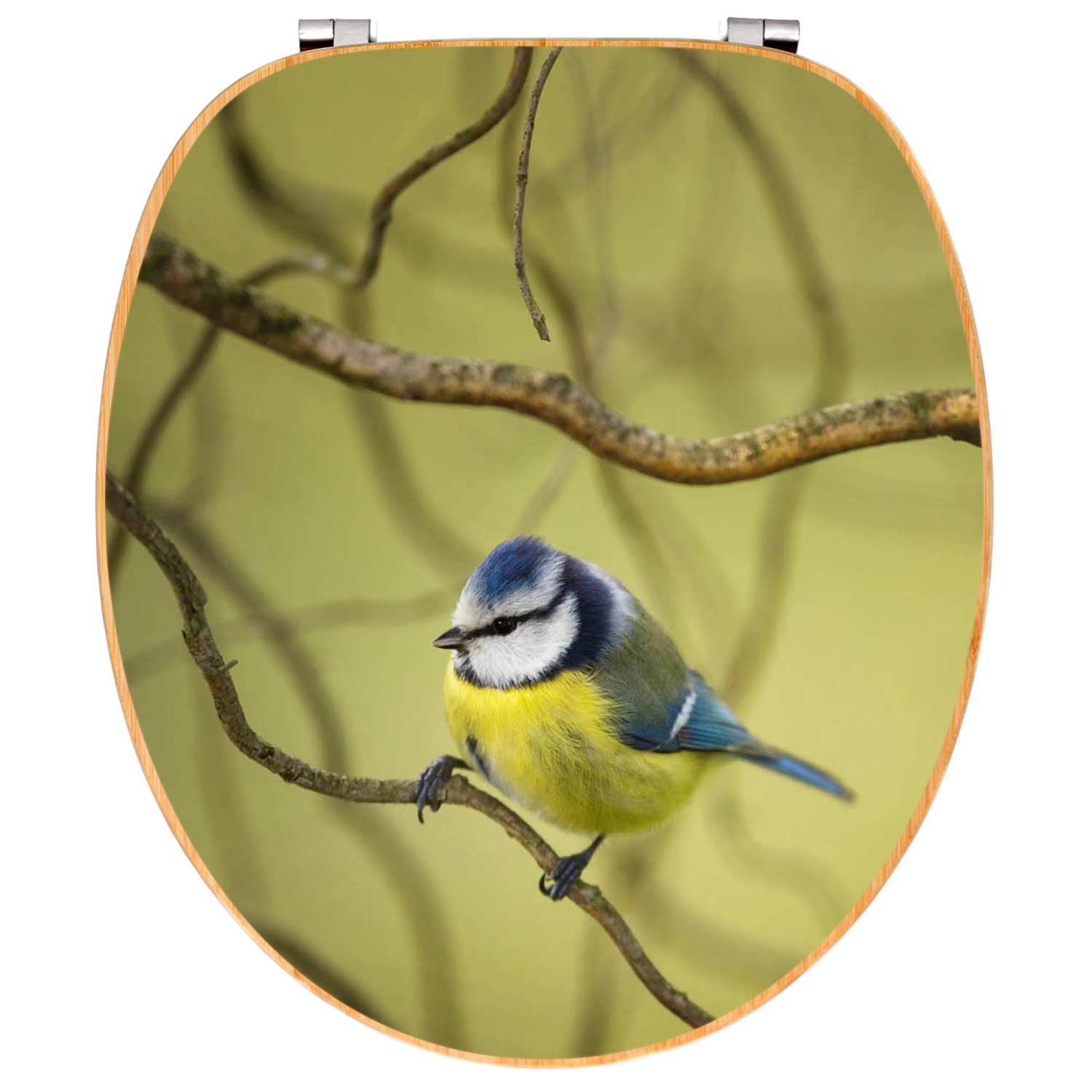 Banjado WC-Sitz aus Bambus mit Blaumeise-Motiv. Toilettendeckel aus Holz für Standard WC.