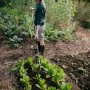 Frau arbeitet mit Fiskars Grubber 3 Zinken im Garten. Ergonomisches Gartengerät zum Auflockern des Bodens.