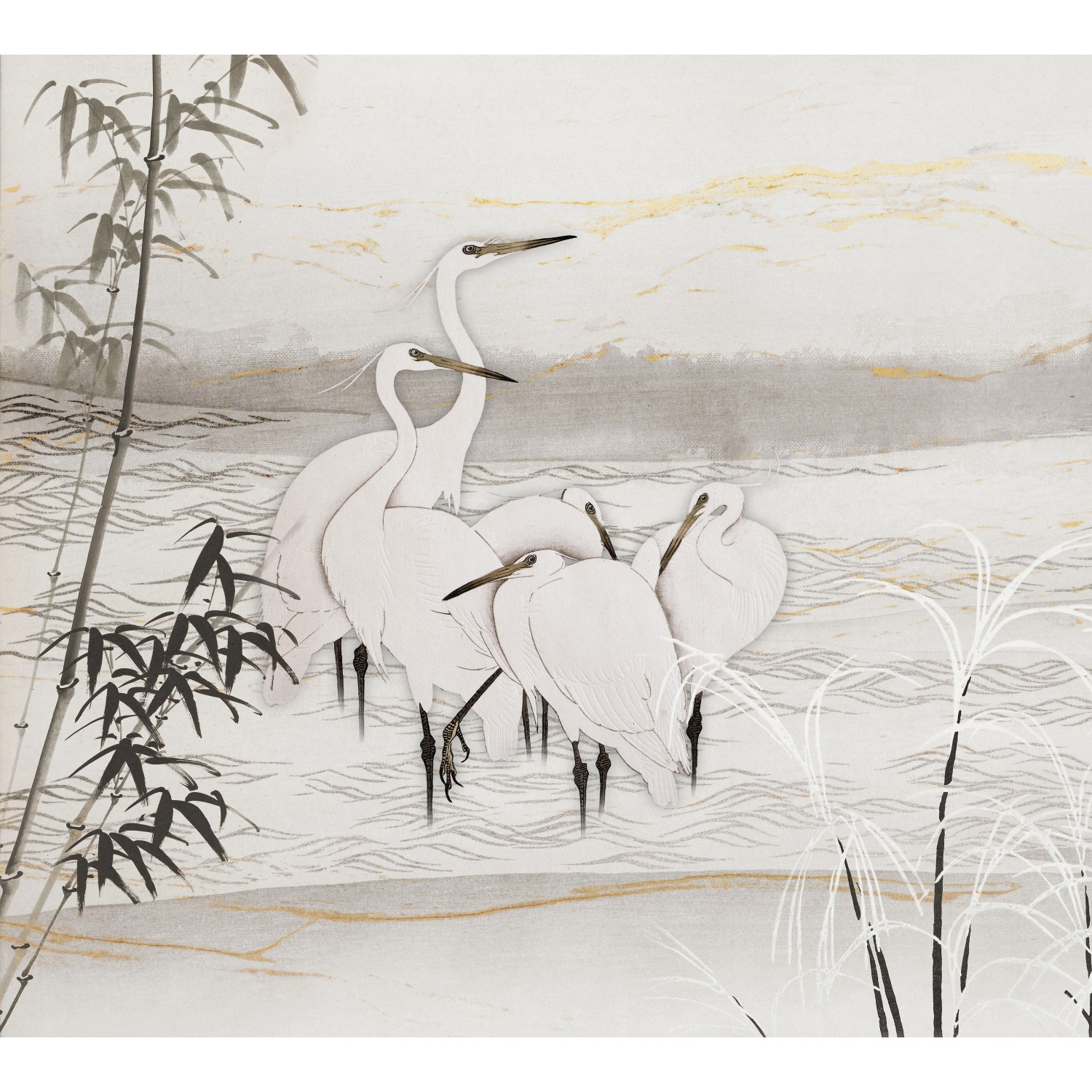 Erismann Fototapete Guido Maria Kretschmer Birds of Asia Weiß 3,0m x 2,7m