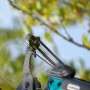 Detailaufnahme der Gardena Bypass-Baumschere Combisystem mit Rollenübersetzung vor Baum.