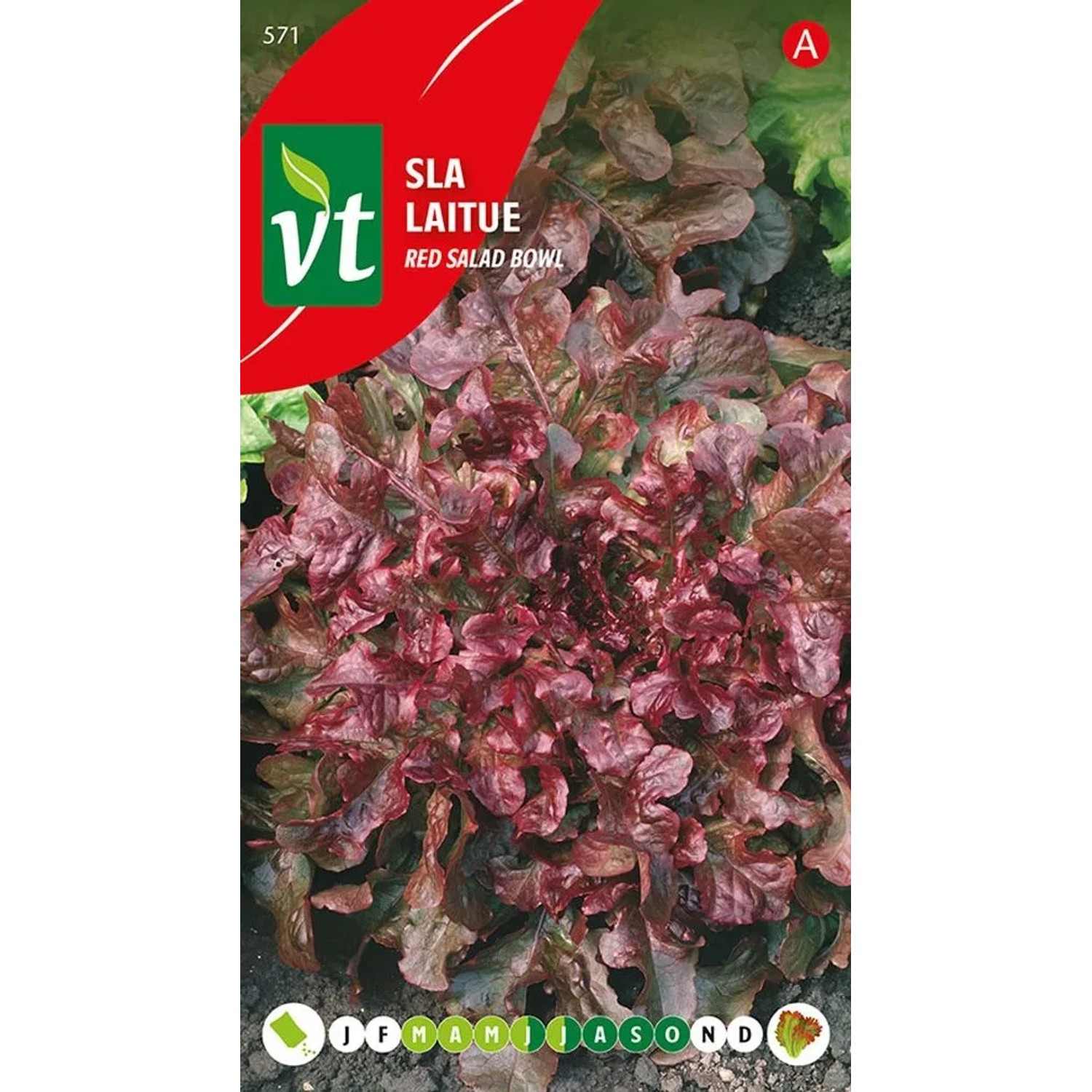 arborix Pflücksalat 'Red Salad Bowl' Saatgut Circa 2 G Schnell Wachsend