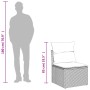 Beige vidaXL Garten-Sofagarnitur aus Rattan mit Kissen, Maße dargestellt.