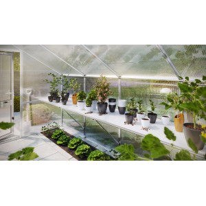 KGT Tischgestell Aptasia III-s im Gewächshaus mit Pflanzen und Töpfen.