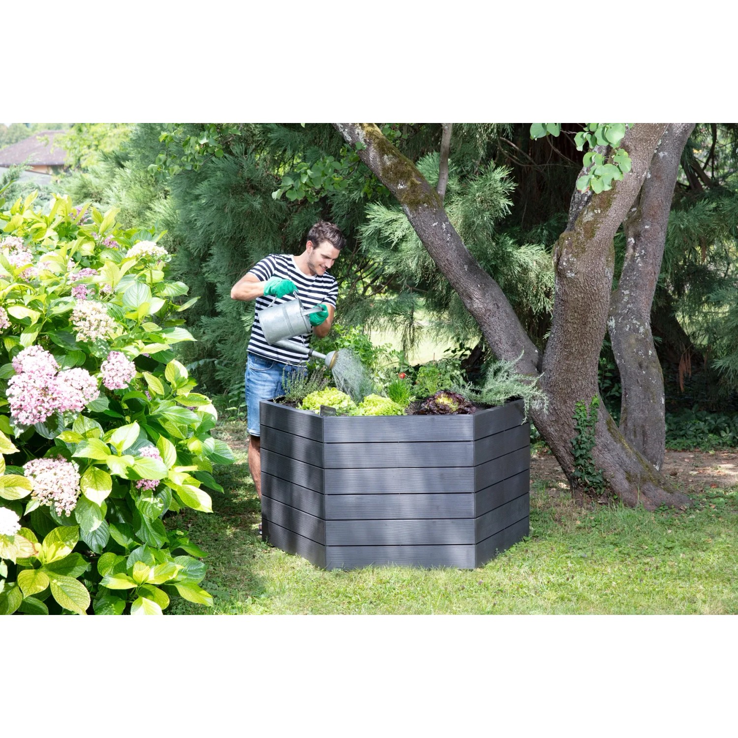 Garantia Hochbeet Ergo XL 75 Wood: Mann gießt Pflanzen im grauen Kunststoff-Hochbeet im Garten.