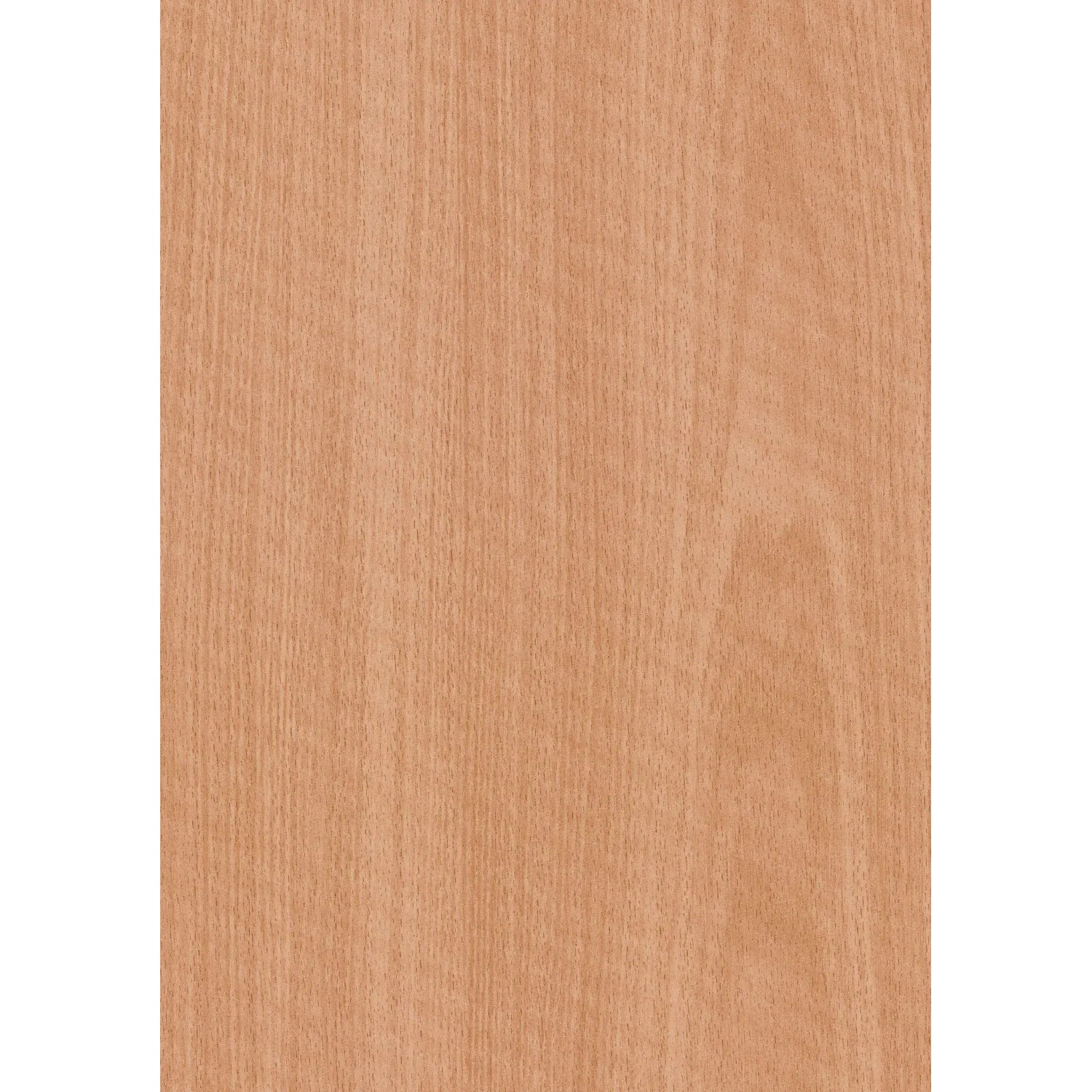 Türrahmen Dekor Buche, 86x198,5x10 cm, für links/rechts Anschlag. Holzstruktur.