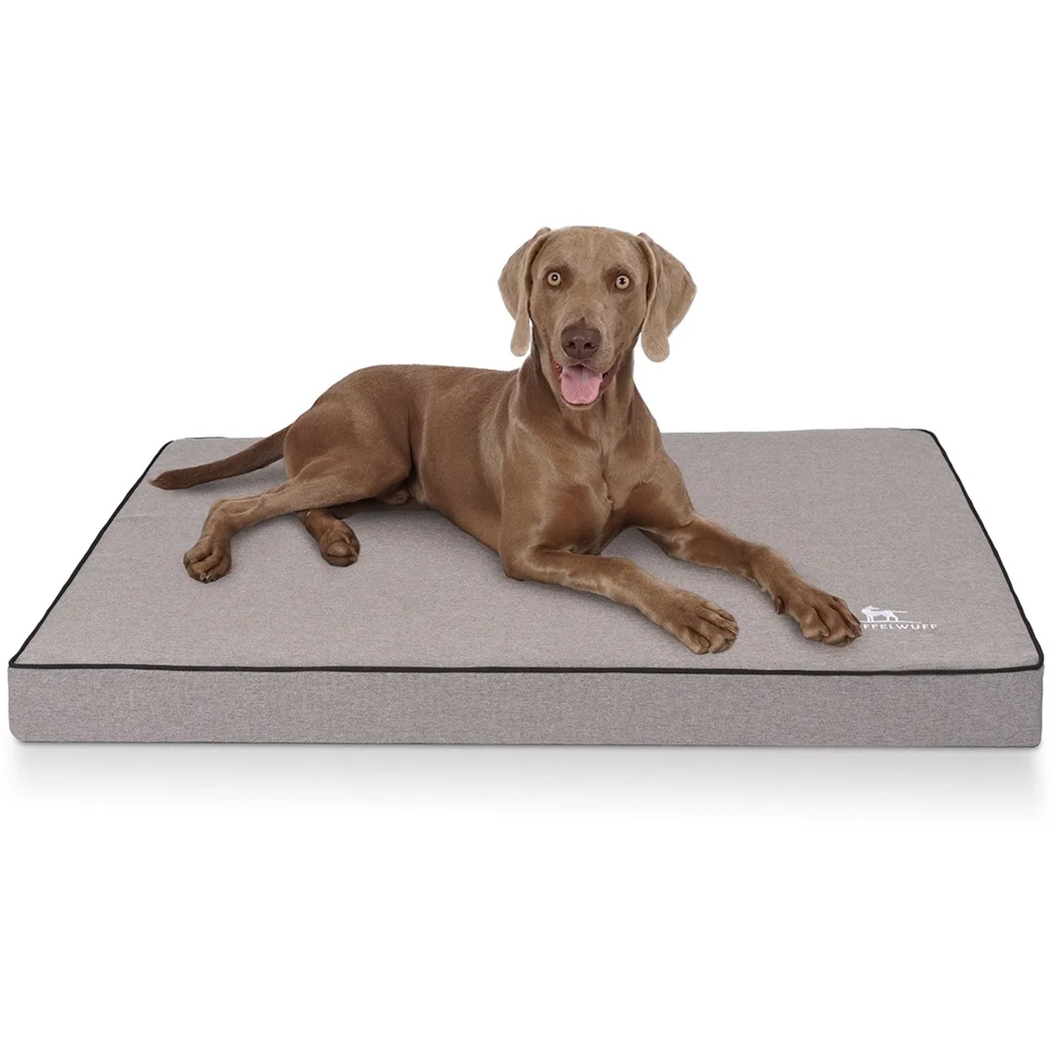 Graue Knuffelwuff Hundematte Nantucket XXXL (135x90cm) mit Hund.