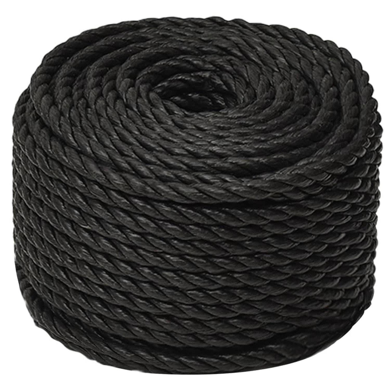 vidaXL Arbeitsseil Schwarz 20 mm 25 m Polypropylen 153029