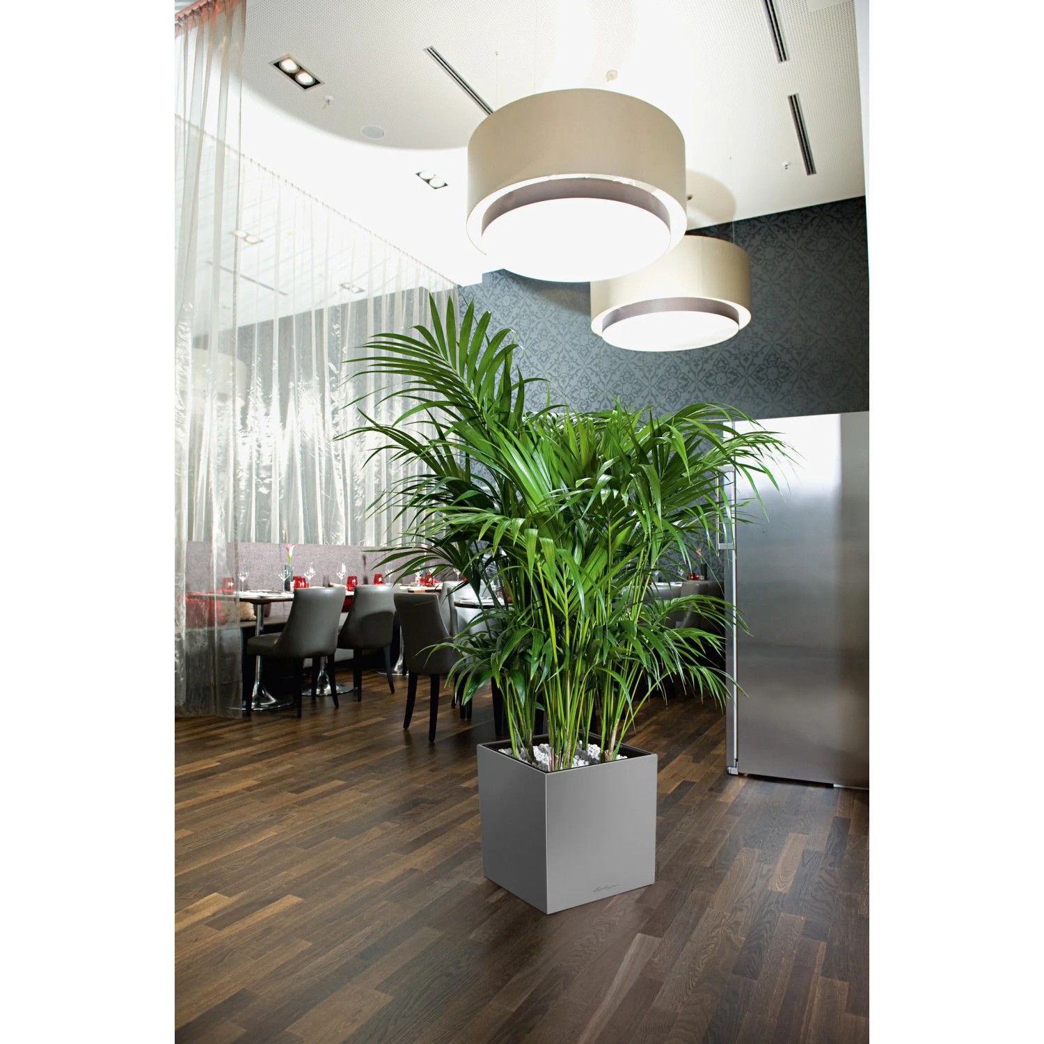 Lechuza Cube Premium Pflanzgefäß, 50x50 cm, Silber metallic mit Grünpflanze im Innenraum.