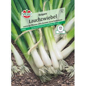 Sperli Lauchzwiebel Kaigaro Samenpackung mit frischen Lauchzwiebeln im Vordergrund.