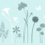 d-c-fix statische Klebefolie Premium Blossom, 150x45cm, mit Blumen- und Schmetterlingsmuster.