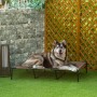 Hund liegt entspannt auf erhöhtem PawHut Hundebett/Hundesofa im Garten.