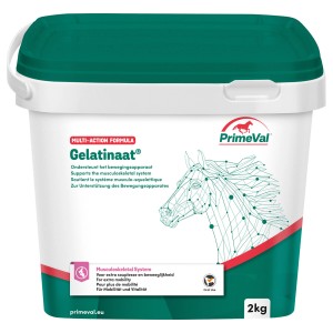 PrimeVal Gelatinaat für Pferde, 2kg Eimer. Ergänzungsfutter zur Unterstützung des Bewegungsapparates.