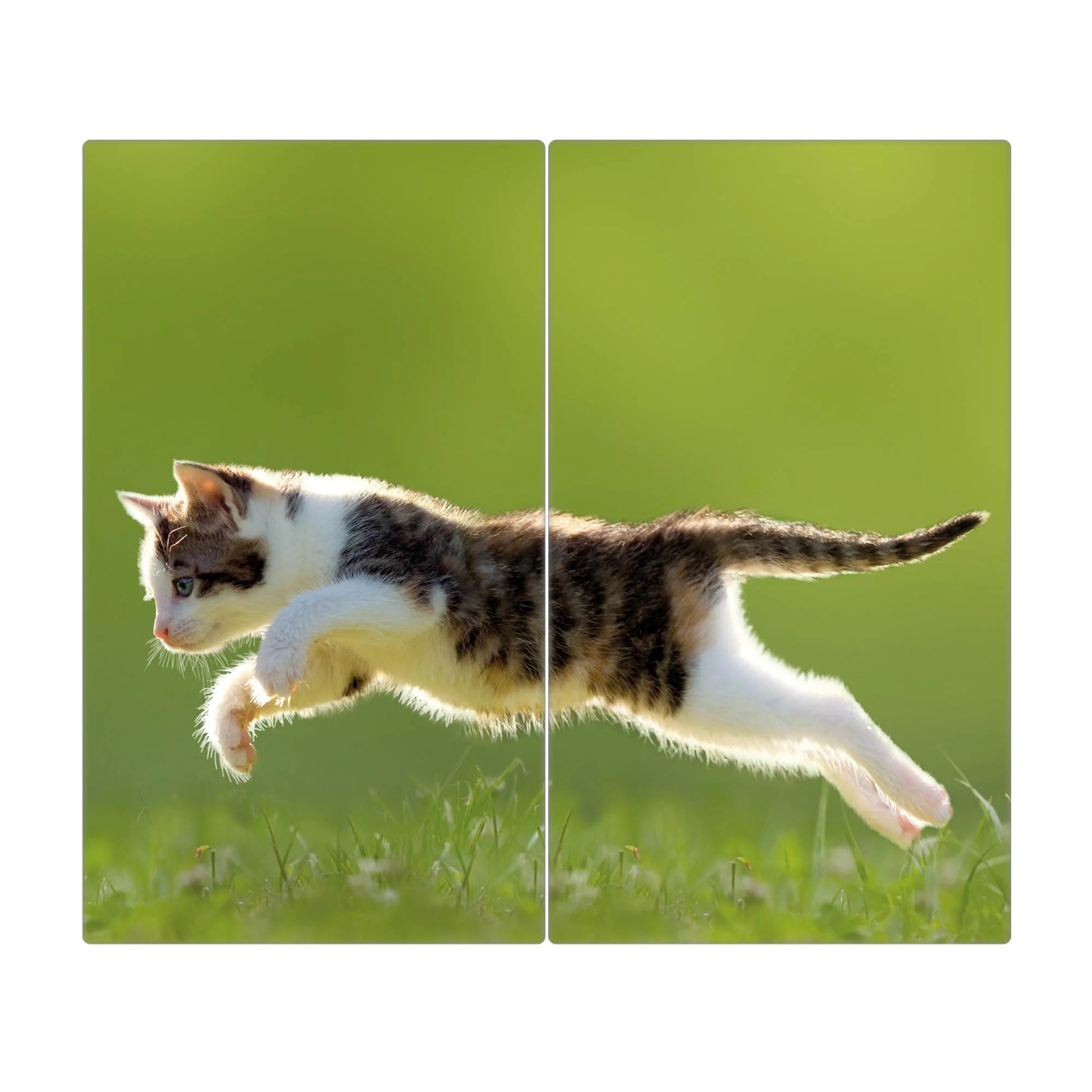 Zweiteilige Glas Herdabdeckplatte mit Katzenmotiv, auch als Schneidebrett nutzbar.