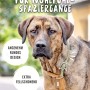 Hund mit grünem Rudelkönig Zugstopphalsband aus Nylon, Größe 5.