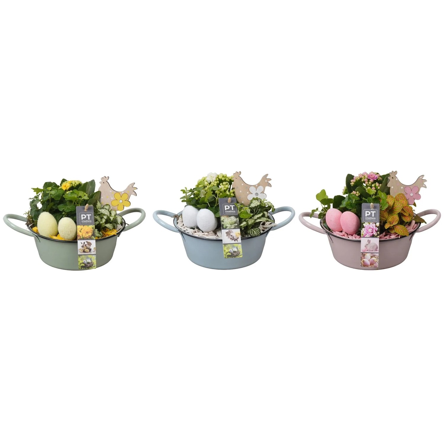 Frühling-Arrangement im Zink-Gefäß Ø ca. 19 cm 3-fach Sortiert