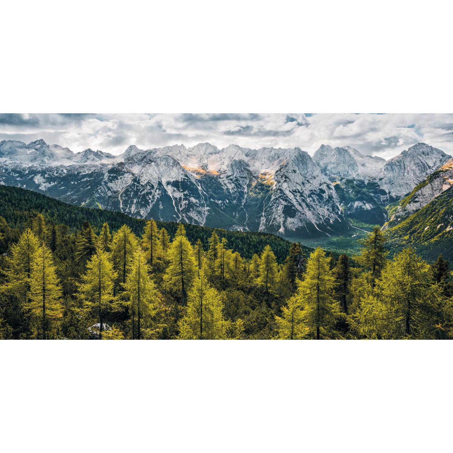 Sanders & Sanders Poster Landschaft Grün und Grau 200 x 100 cm 612570 günstig online kaufen