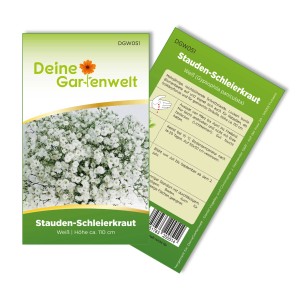 Samenpackung Stauden-Schleierkraut Weiß: mehrjährige, reichblühende Sorte für Blumenbeete und Sträuße.